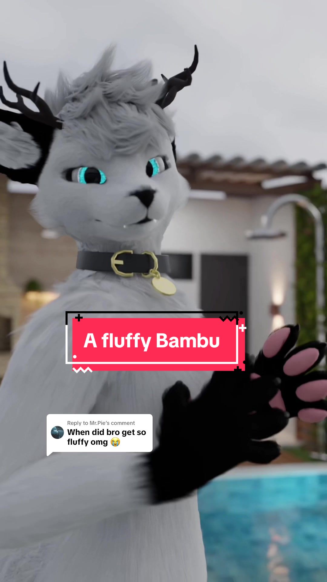 @Bambu