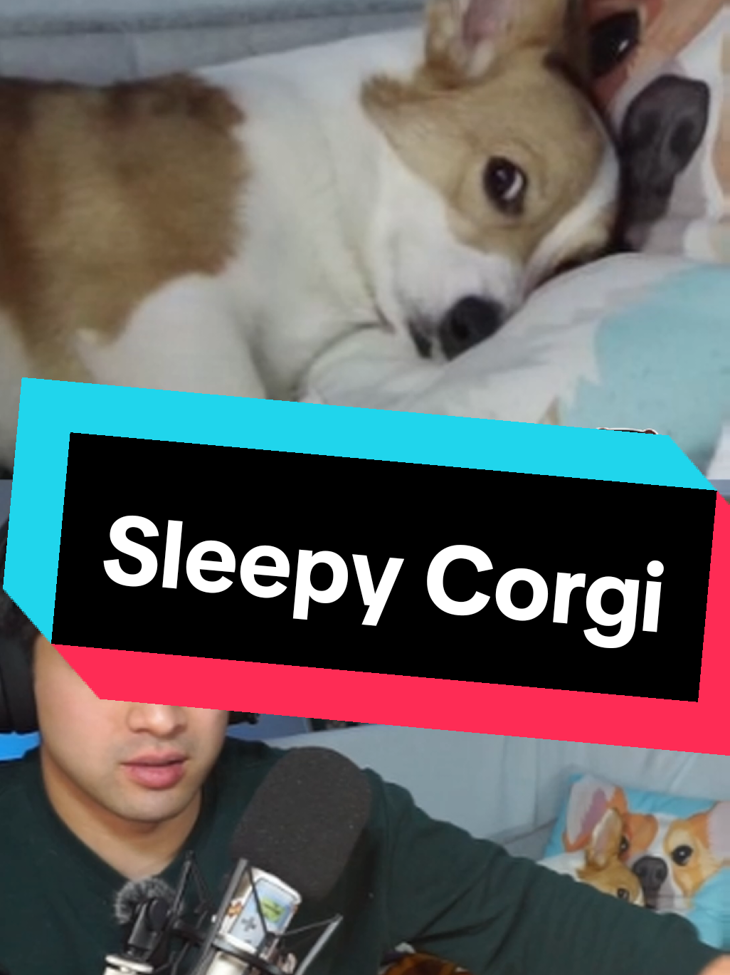 @Protocorg | Twitch Streamer