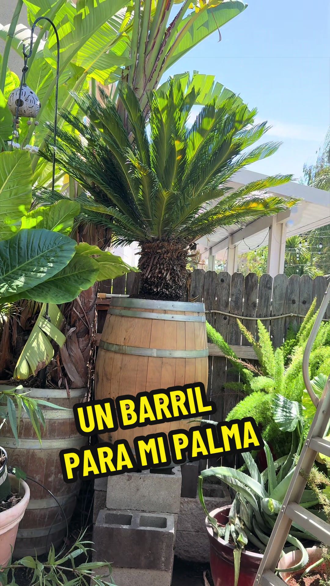 @Los Hernández