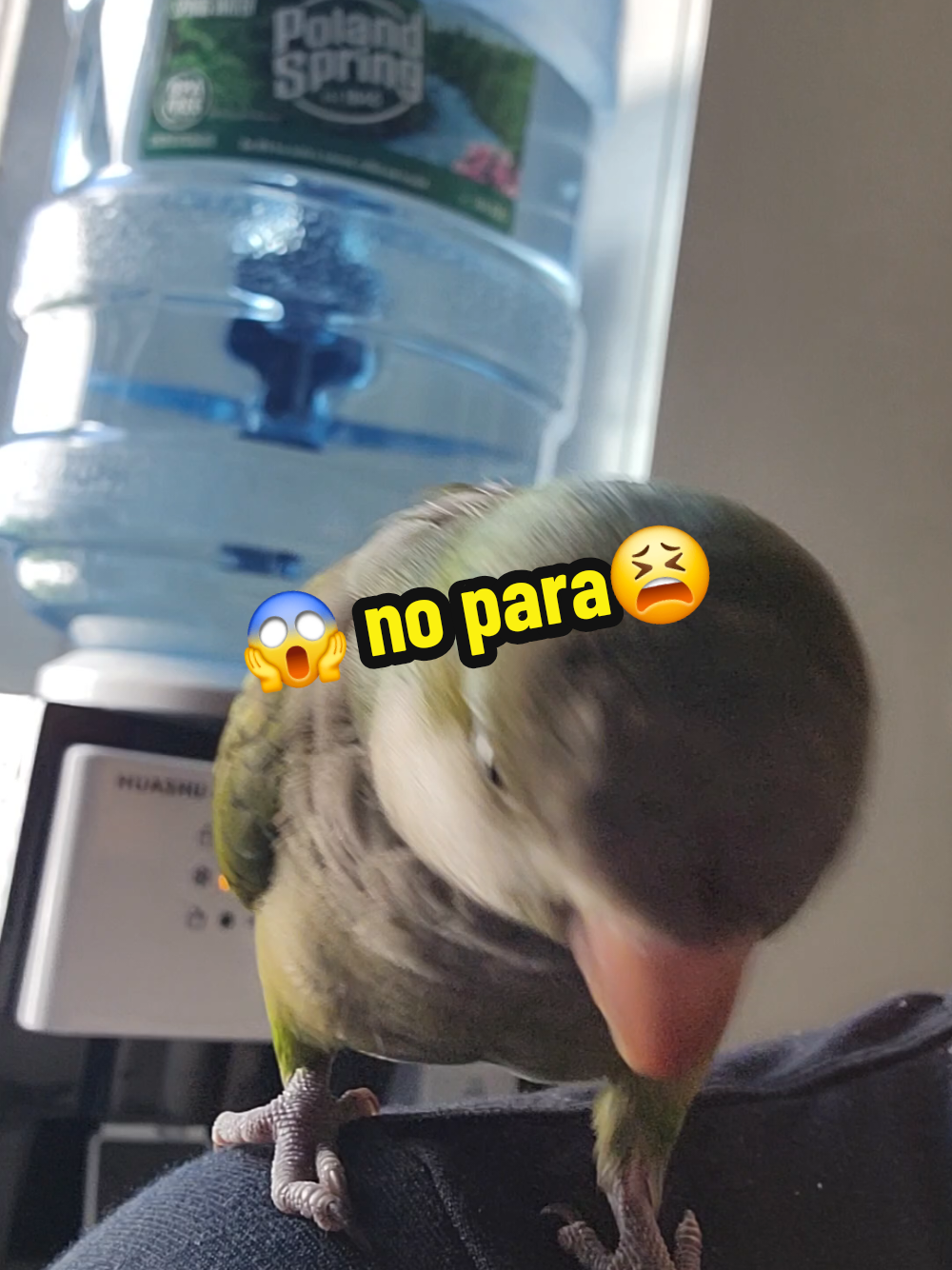 @Nico