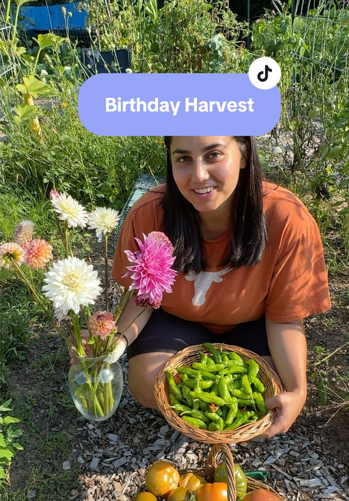 @Manica | zone 6a gardener