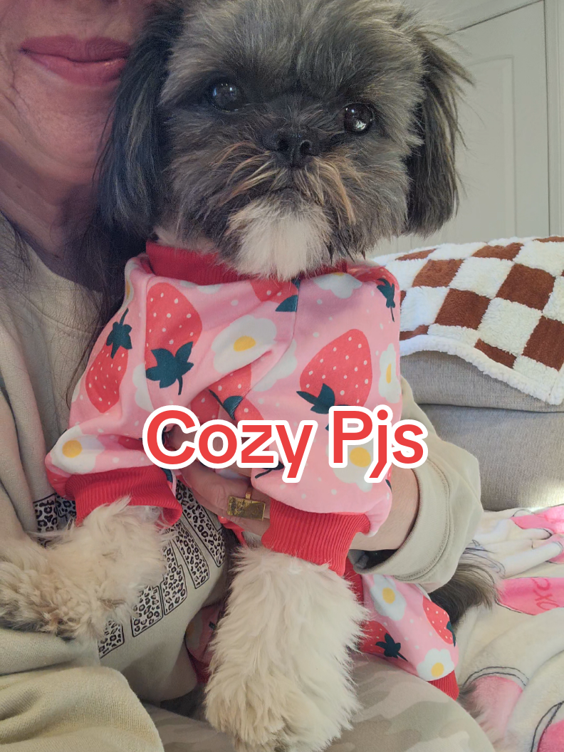 @🐶🎀OzzyBoy&Jenn🎀🐶
