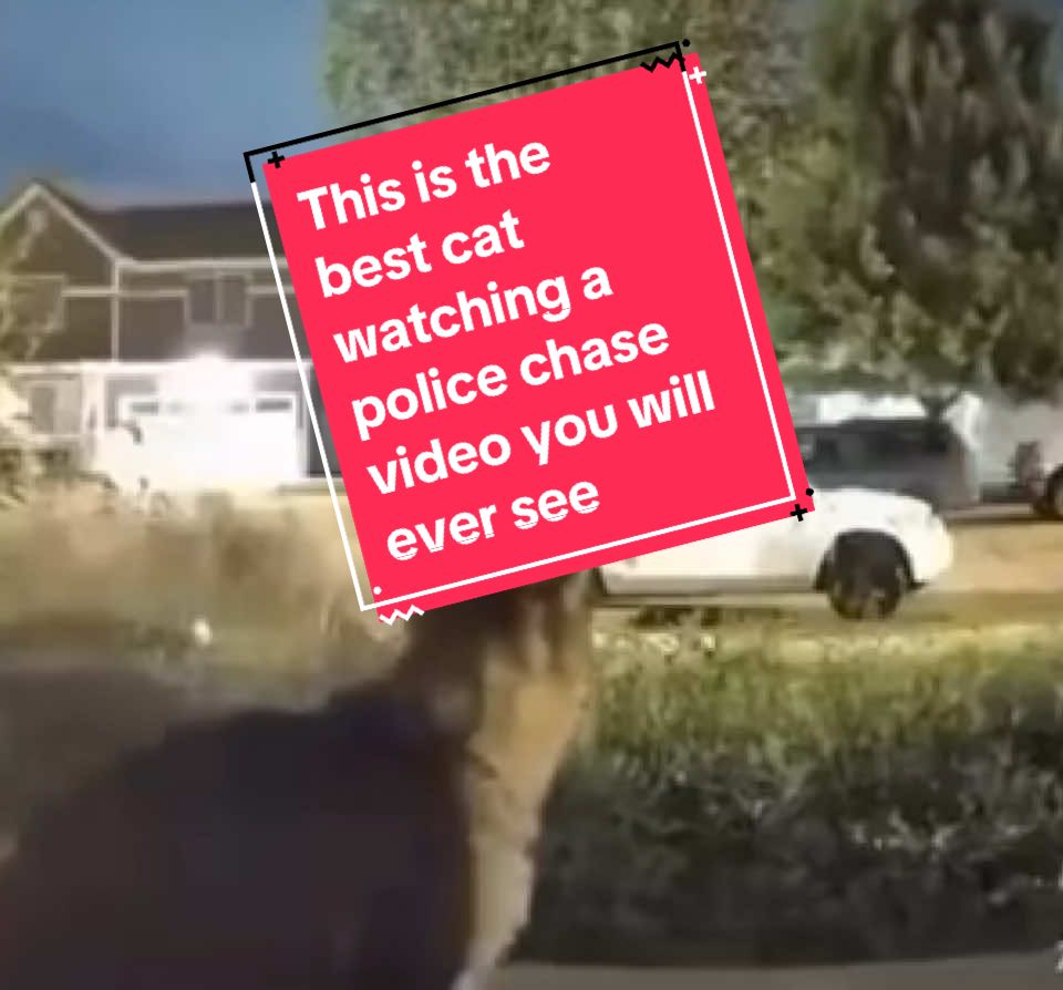 @TVDarryl