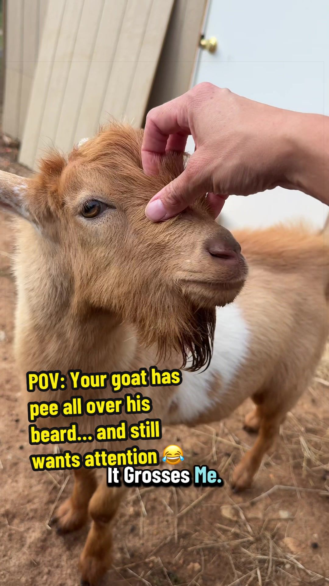 @KidsOnKerth 🐐 Hannah 💀🎃👻