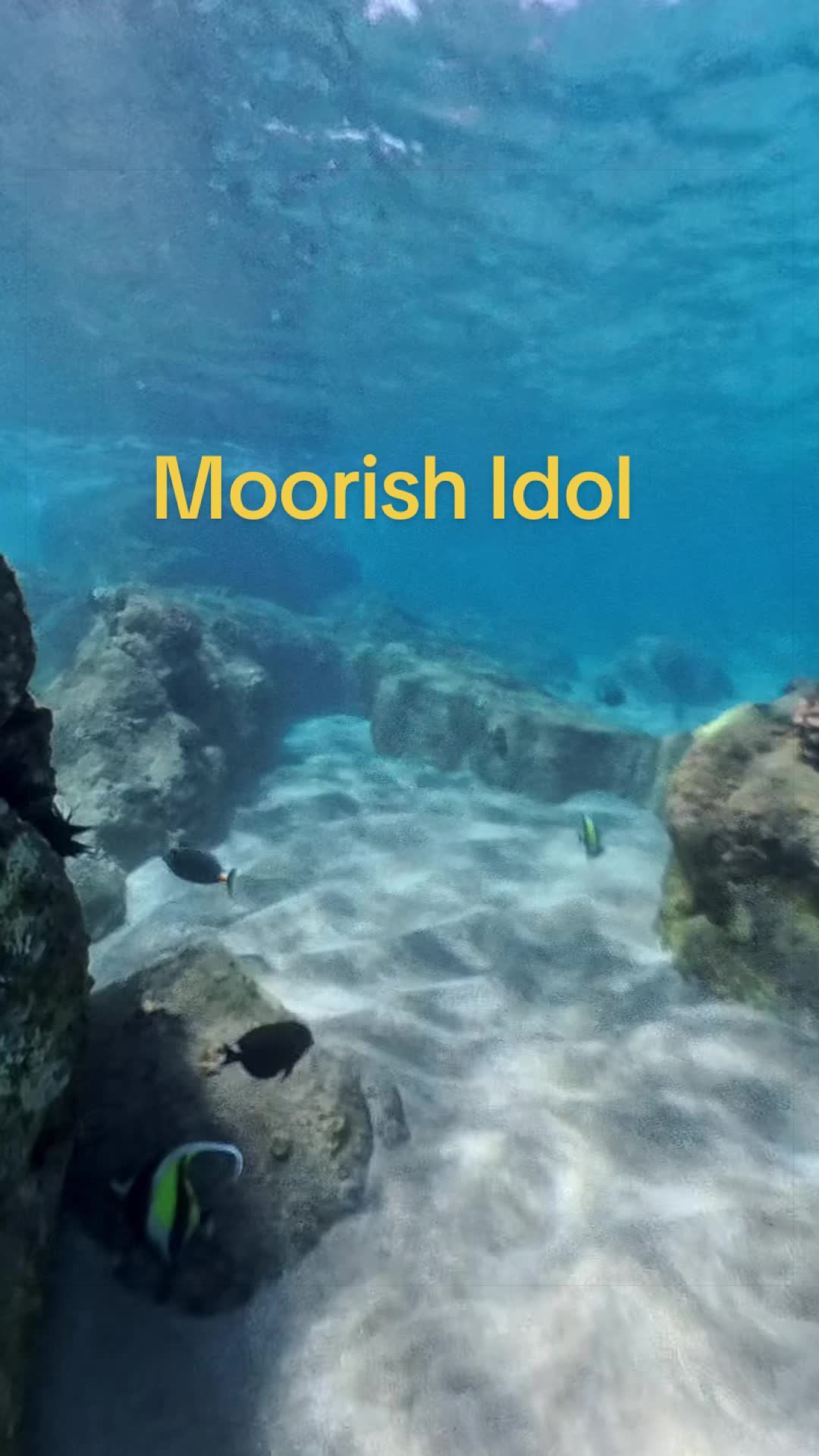 @🌺AN🩵