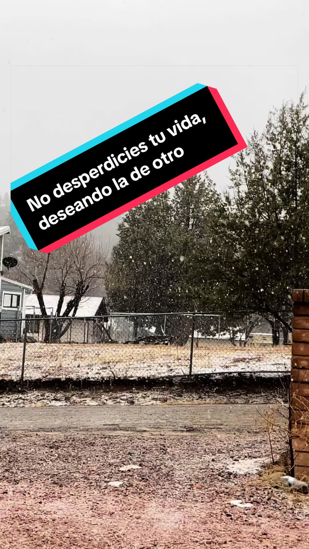 @Juan🦊👀