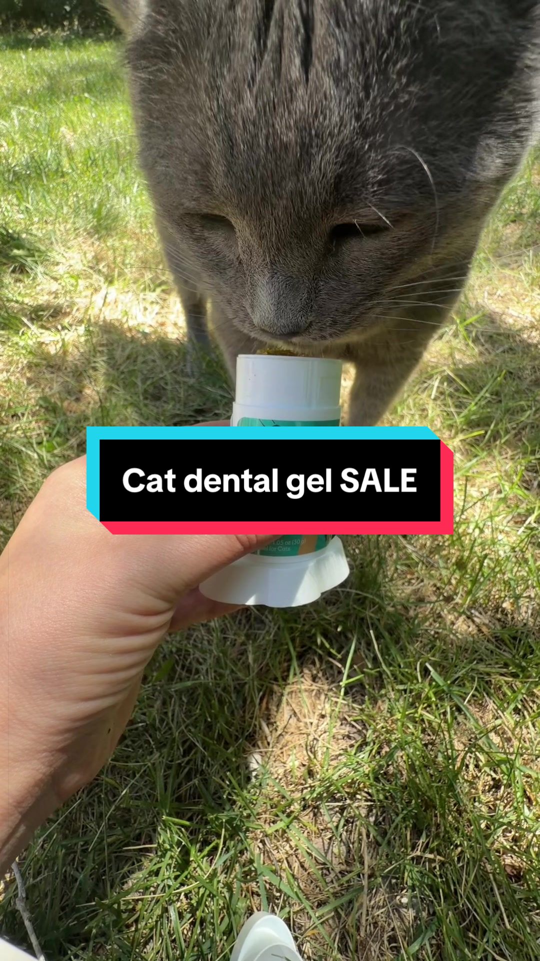 @Vital Paces