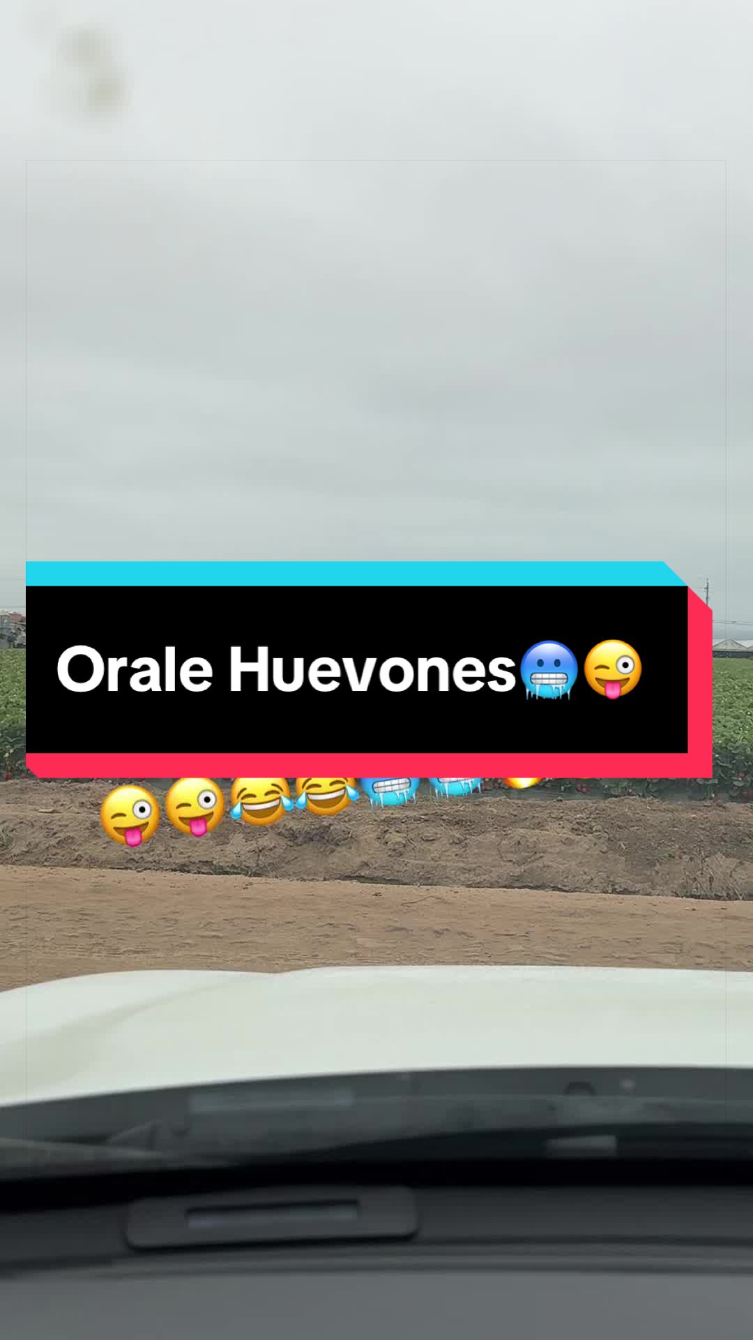 @elbuenavida58