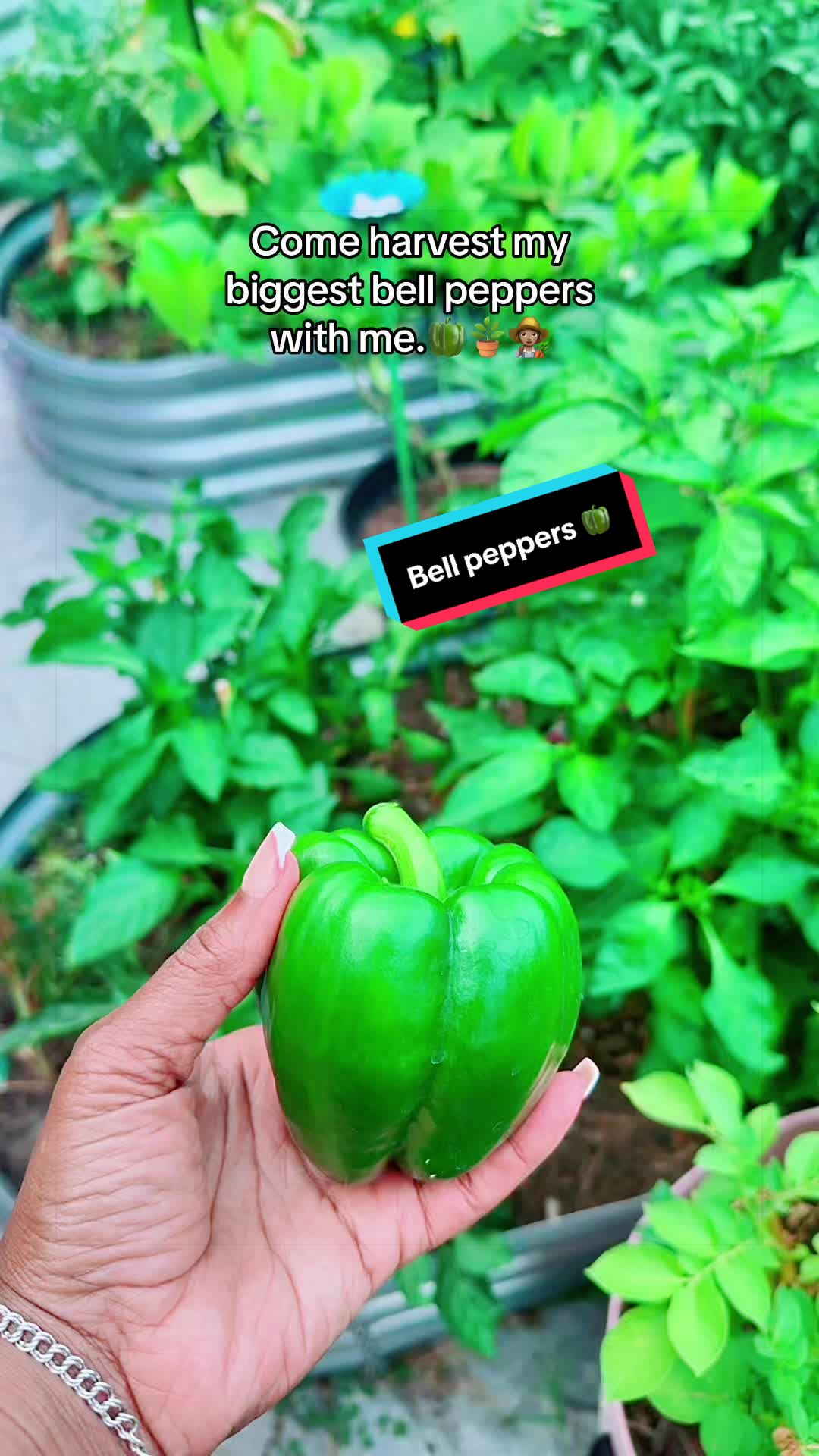 @TeeTee ❌♋️🦀