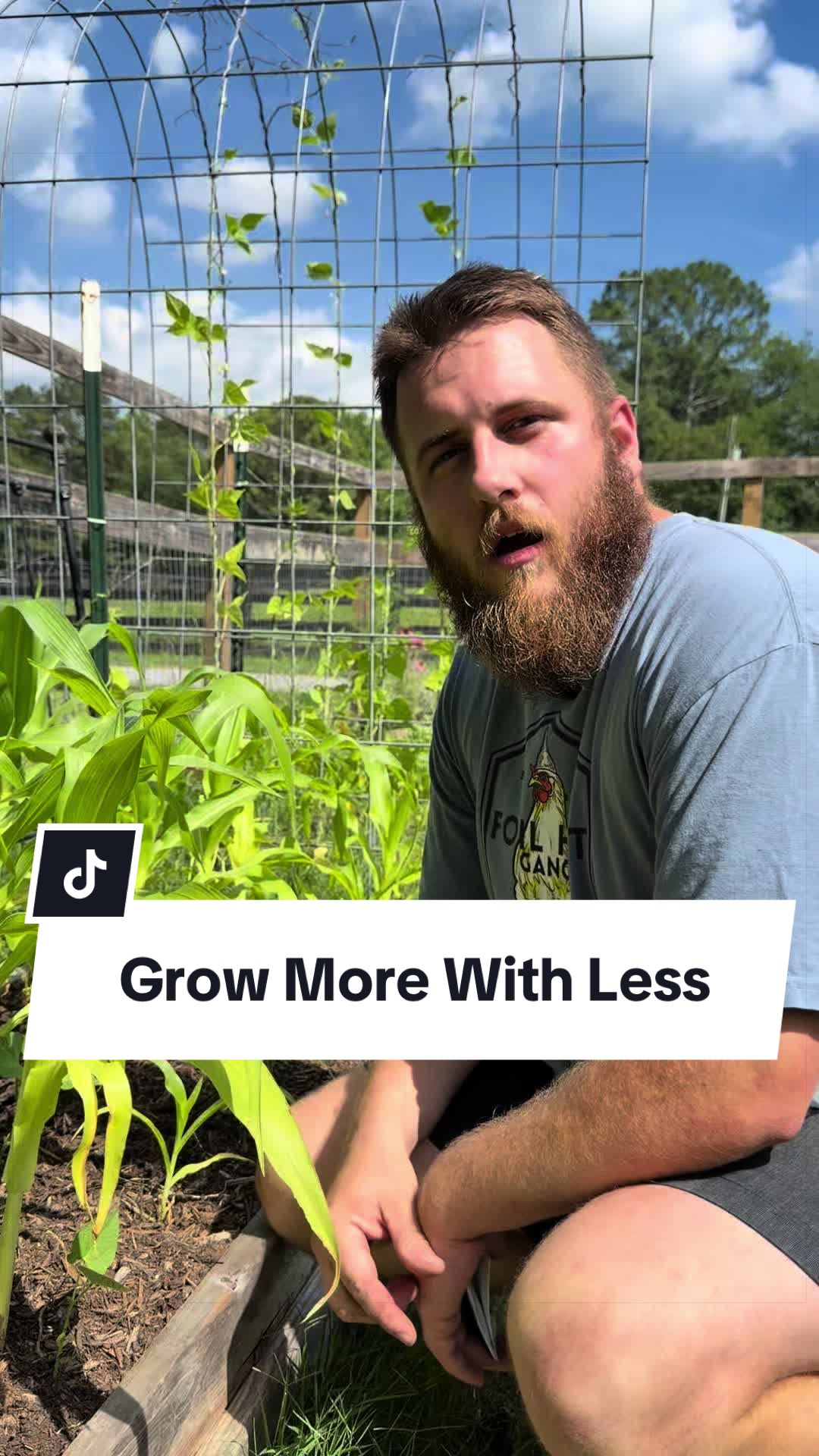 @Bandrhomestead