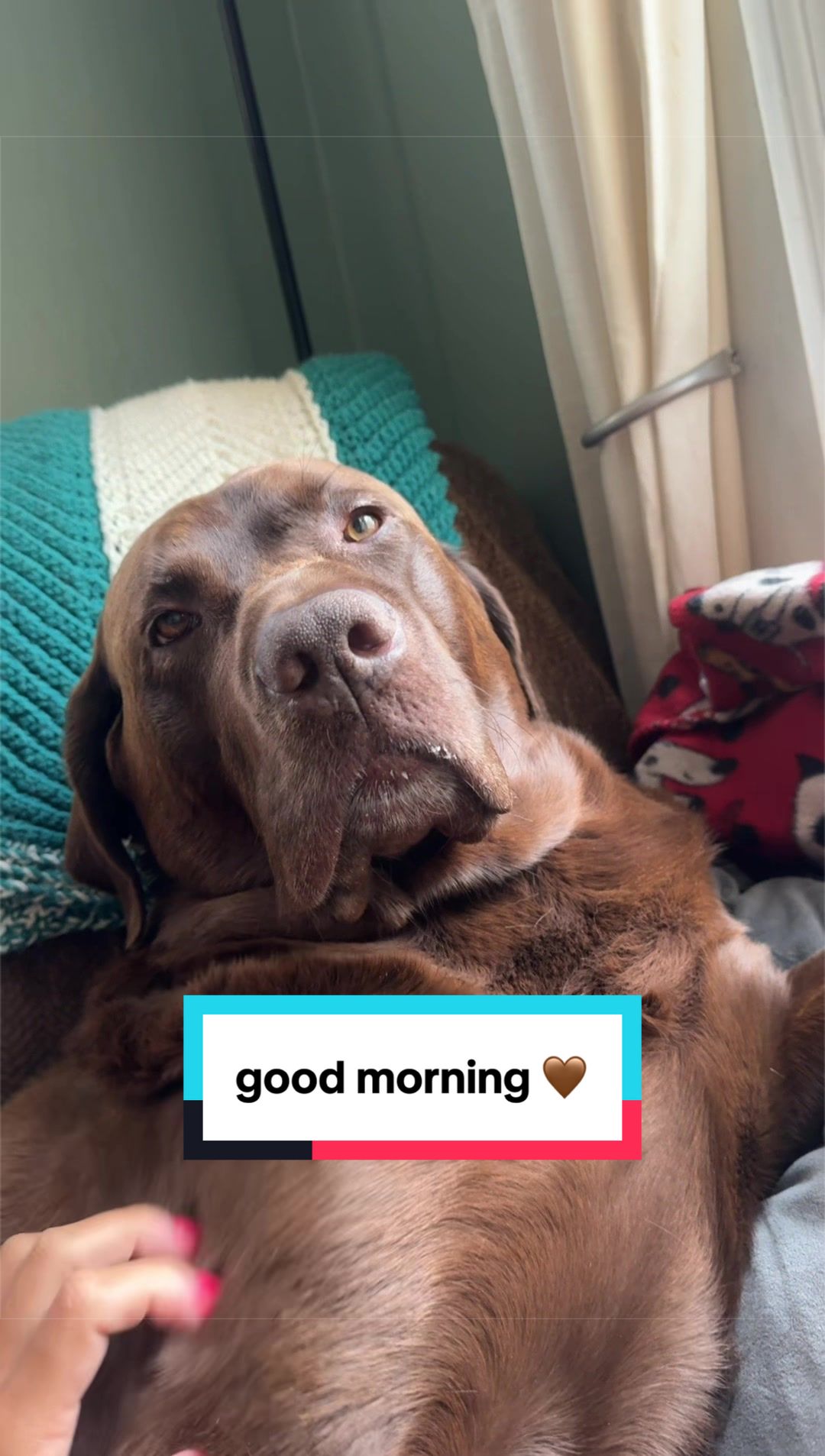 @Mel & Moose 🤎🐾