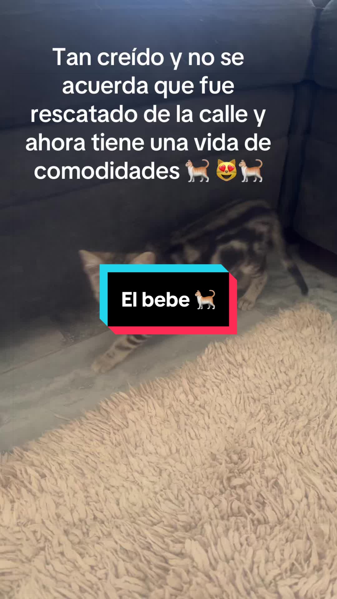 @nataly.831