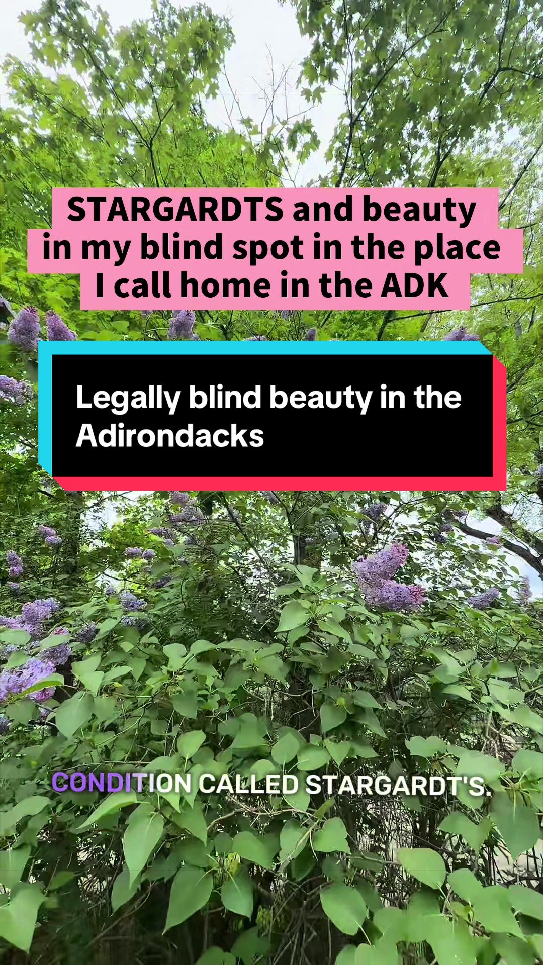 @Allison | Disability Rights⚖️