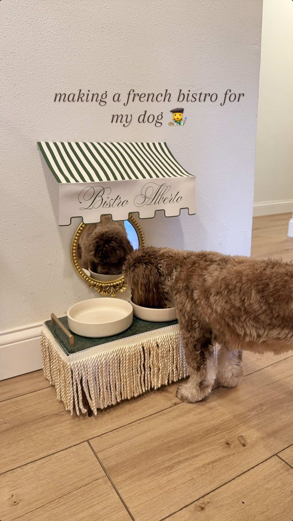 @Lindy G