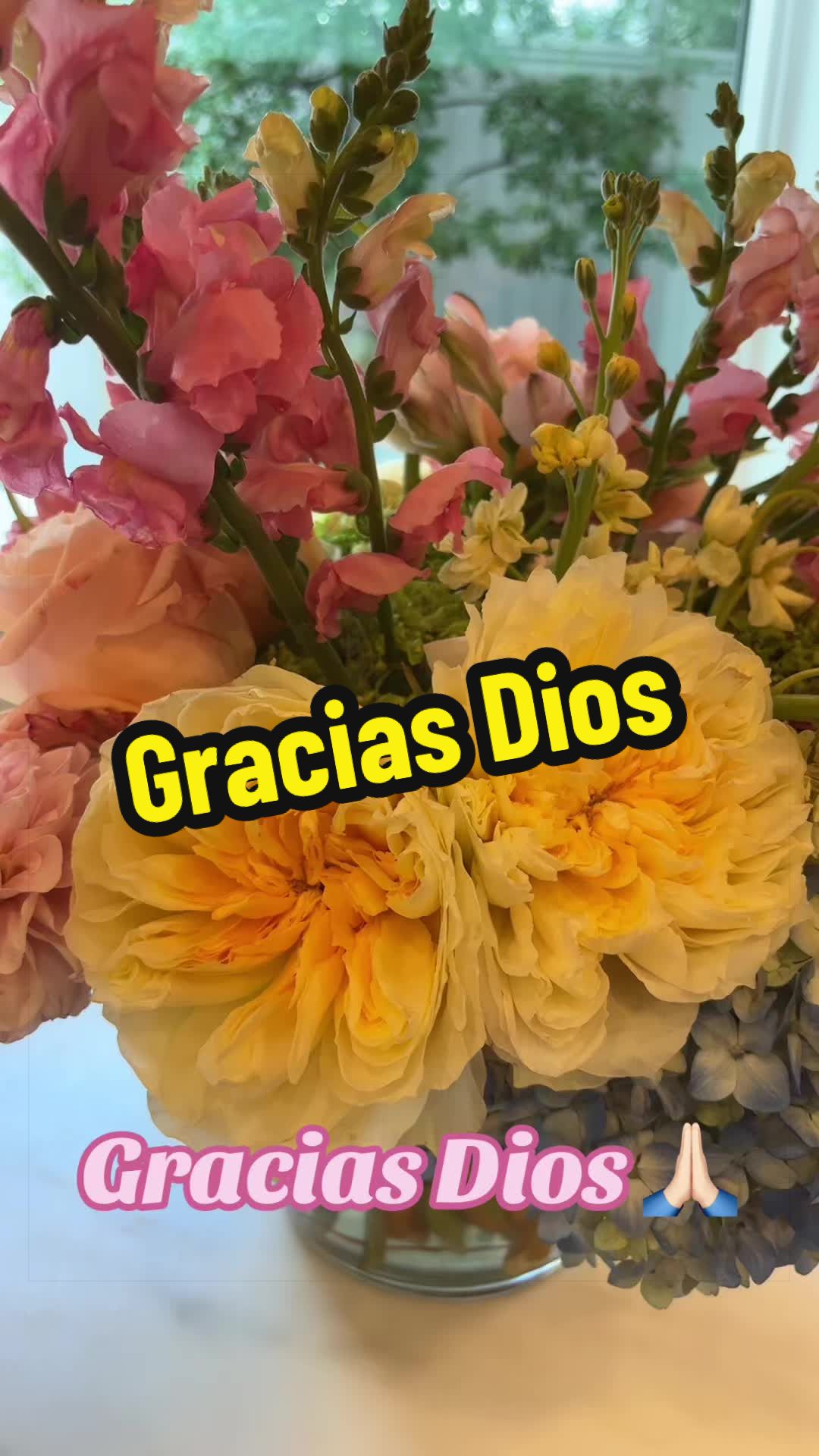 @Adelita Cantu