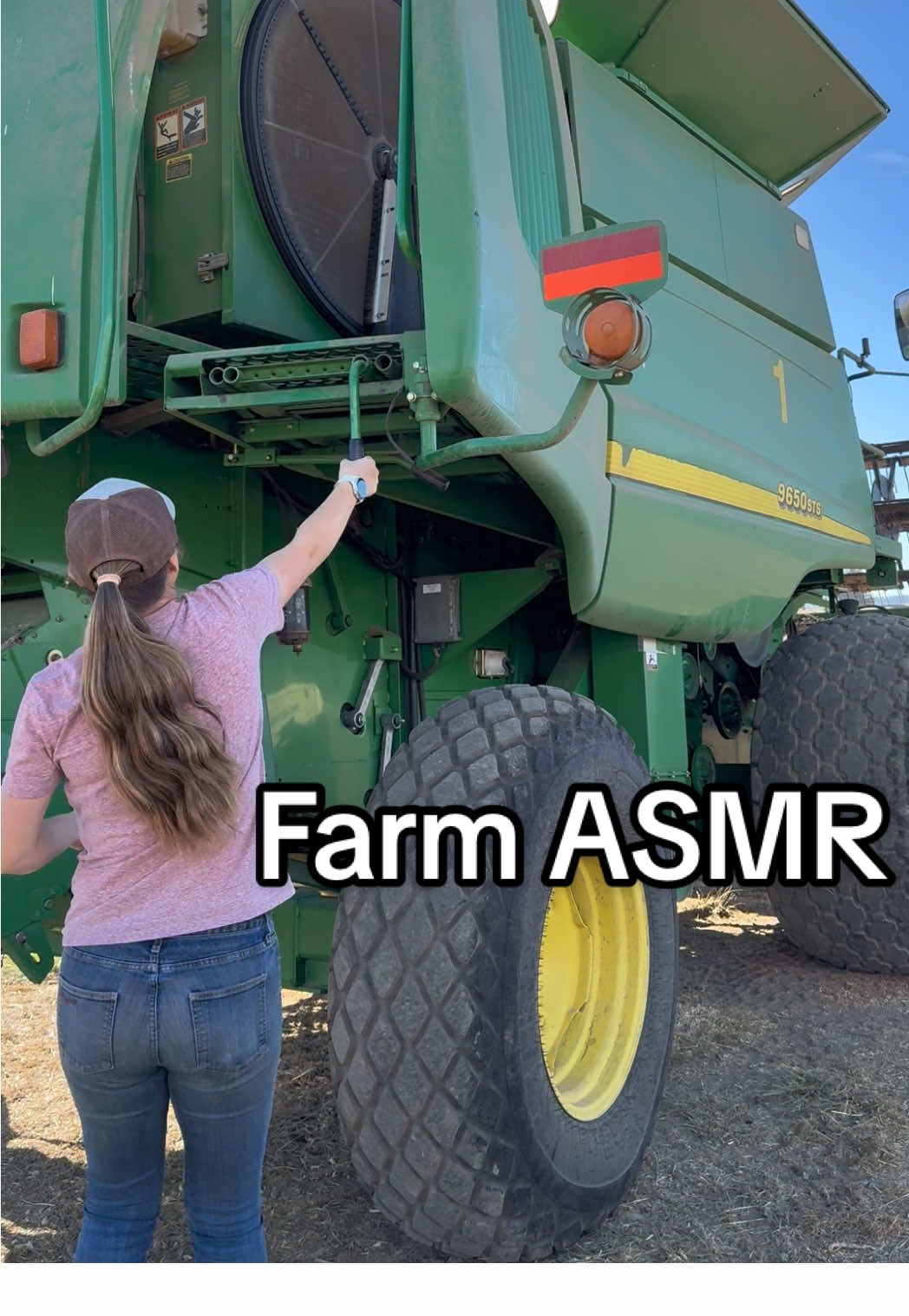 @GS3 Seed Farm
