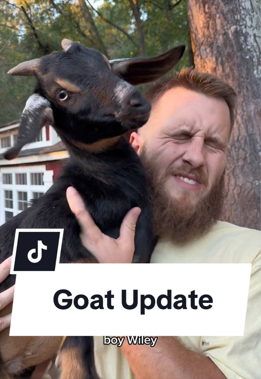 @Bandrhomestead