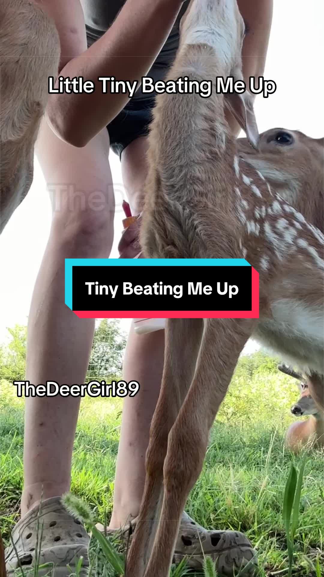@The Durr Girl