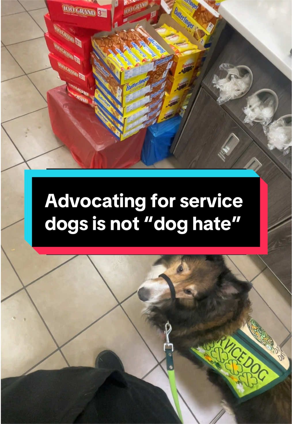 @Dakota & Pups