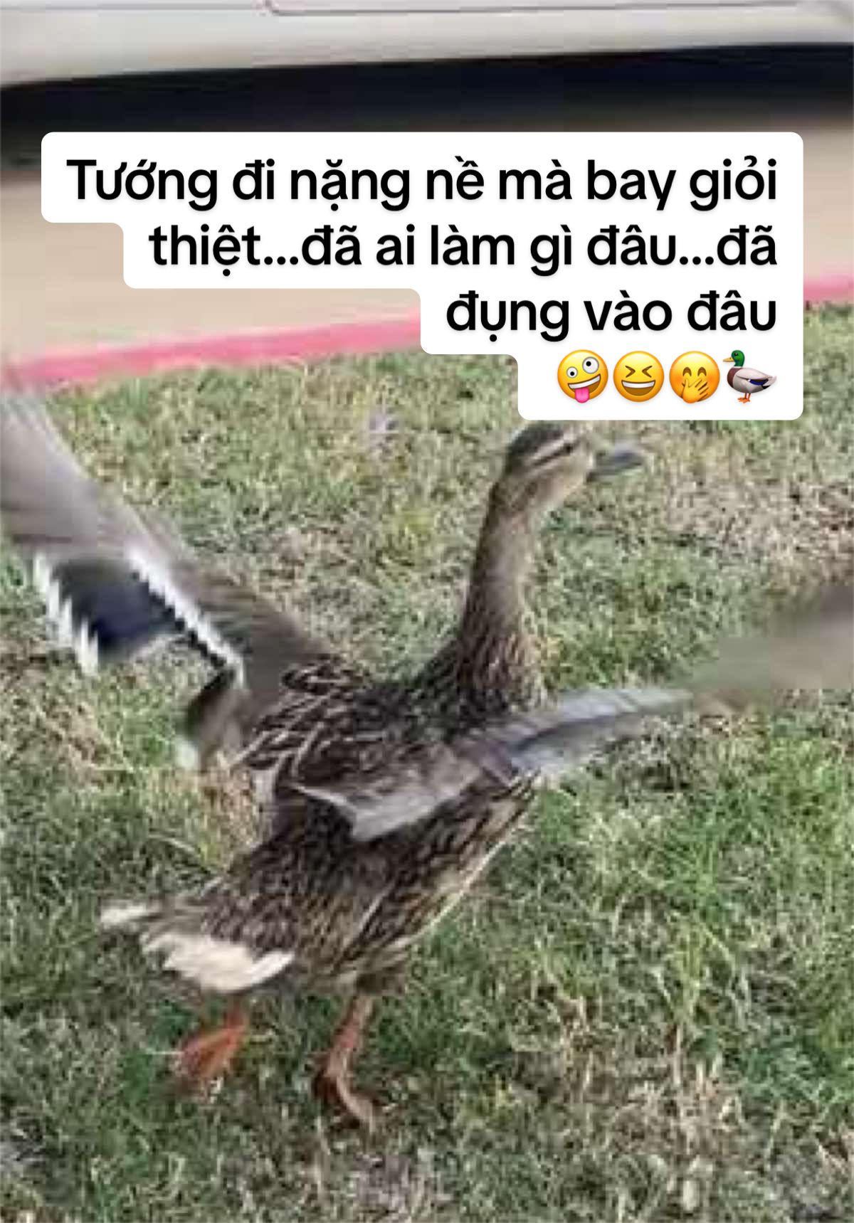 @Tr&acirc;m Anh