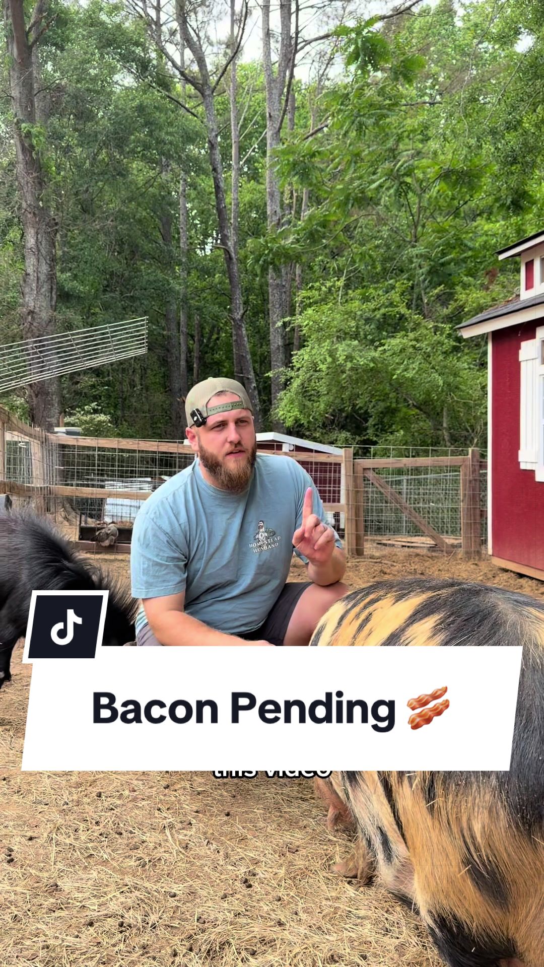 @Bandrhomestead