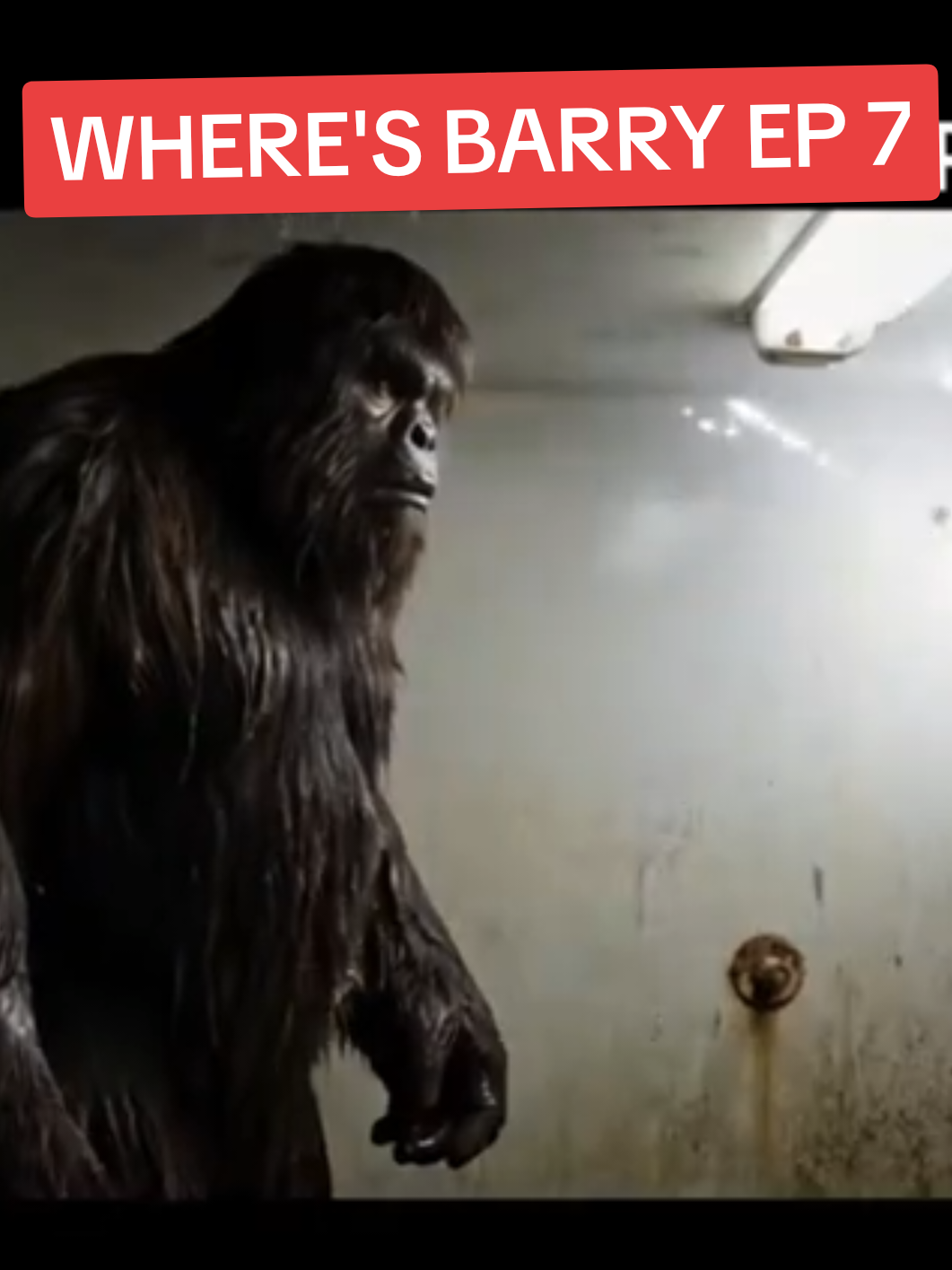 @Where's Barry?
