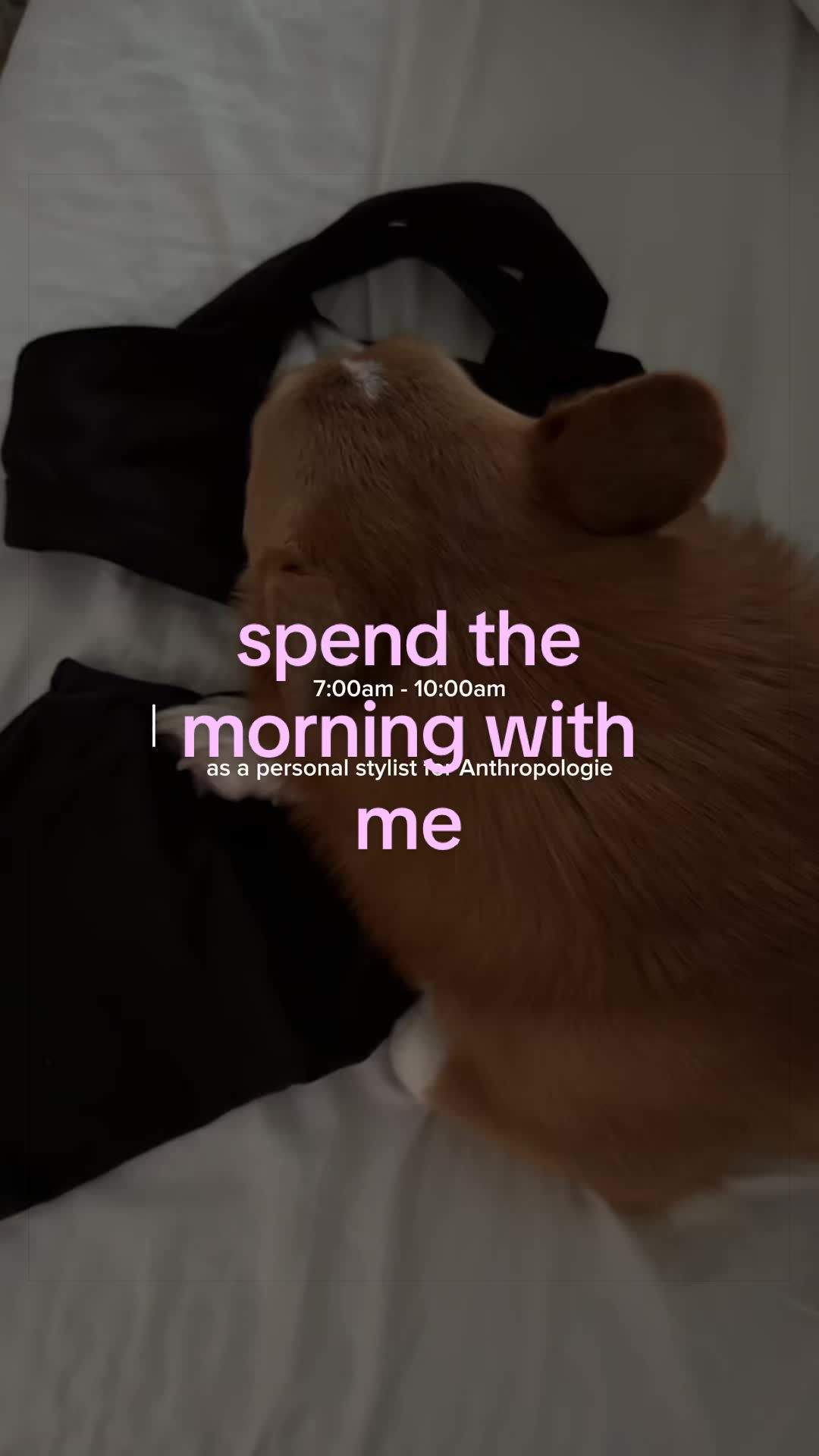 @NORMA ALEXA