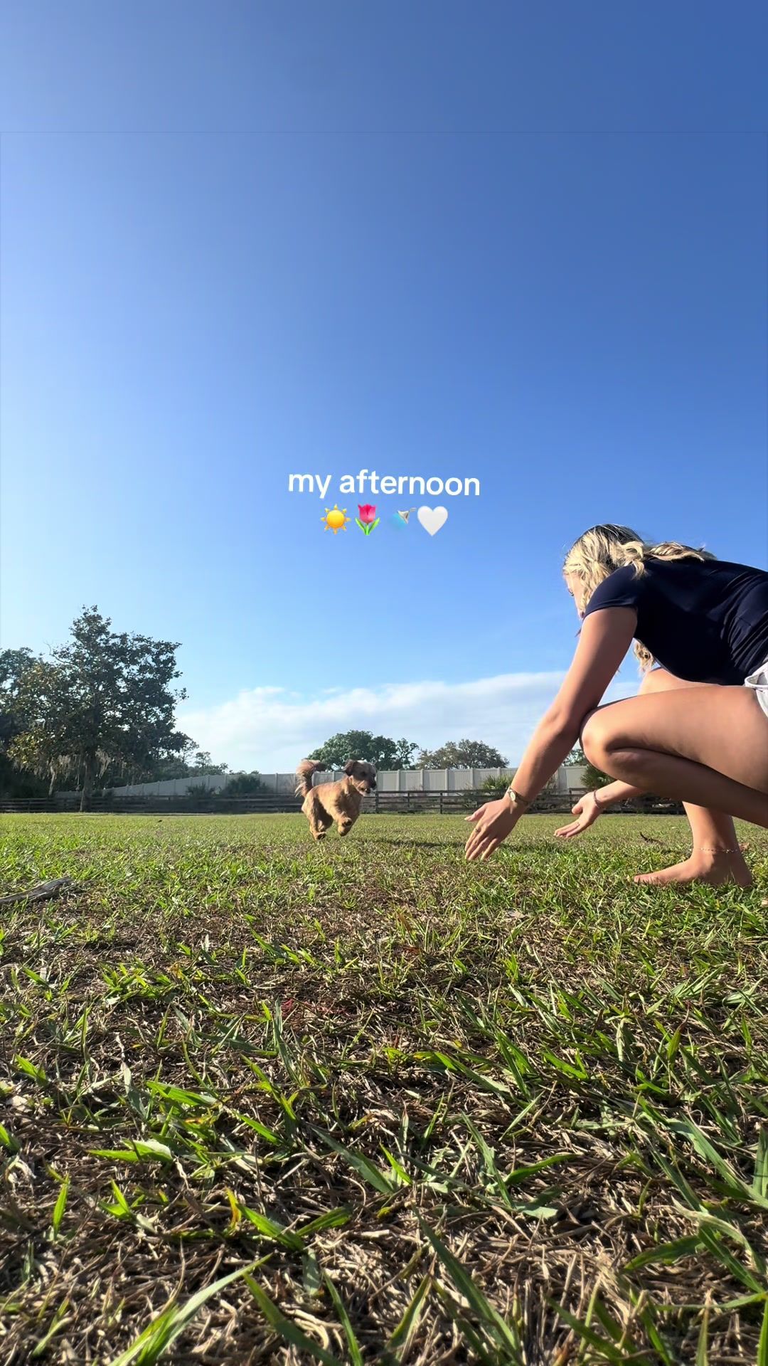 @Brandi Malvita