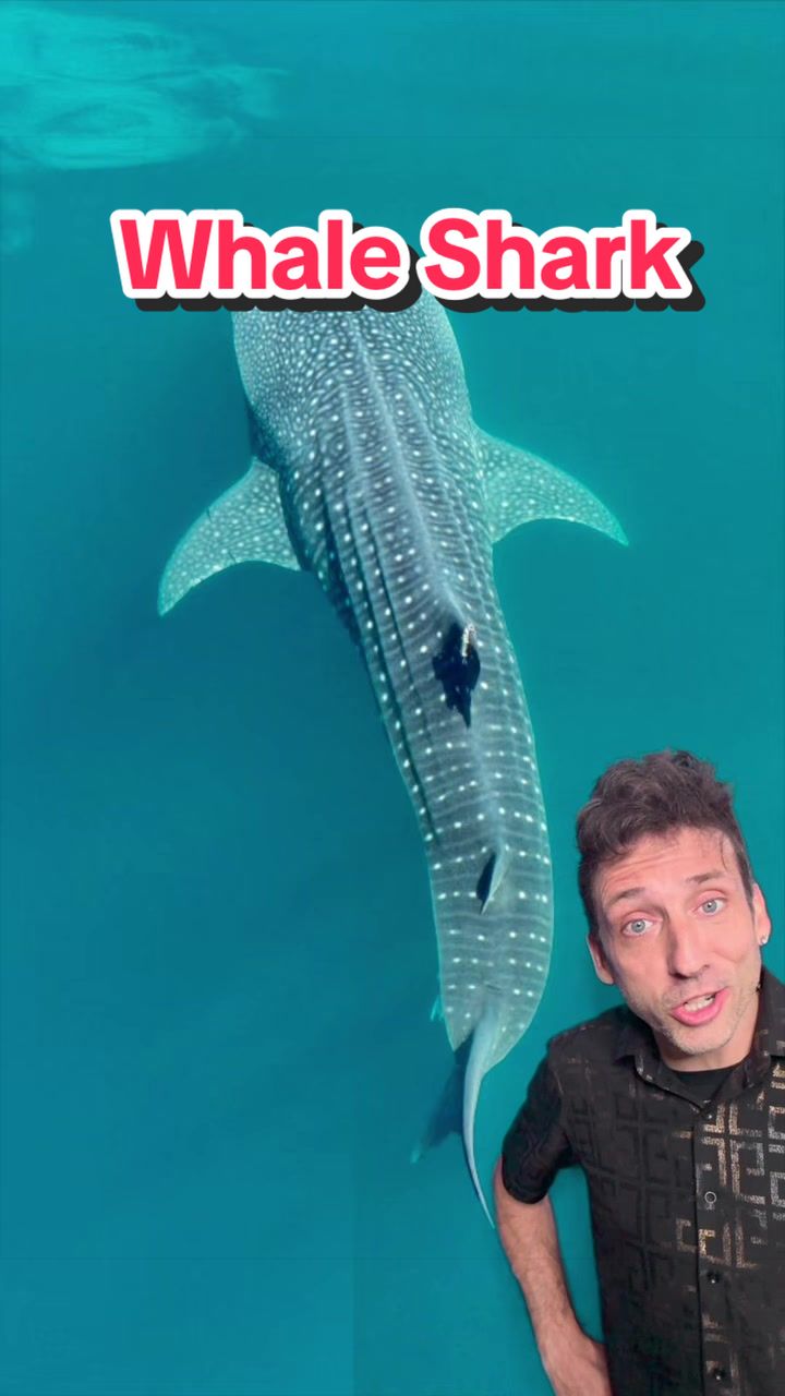 @Odd Danny
