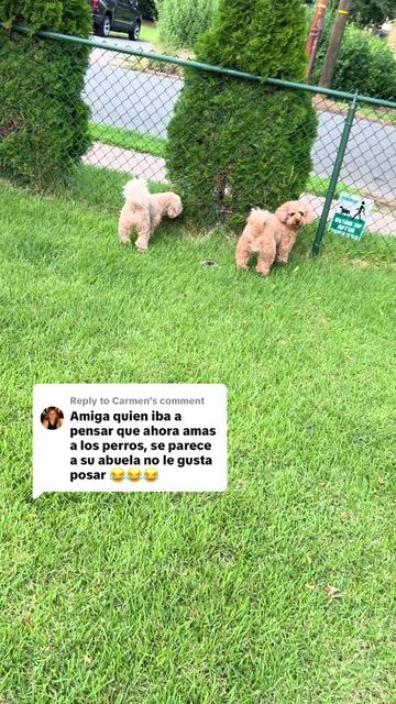 @PattyLove BabyNova 🐾🎀🥰