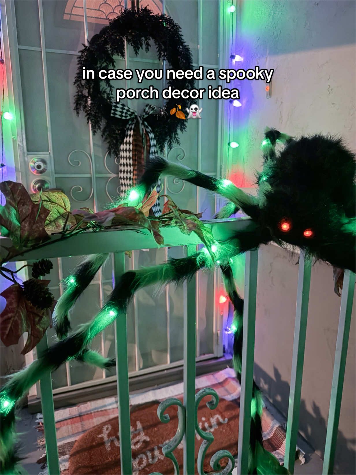 @Seasonal Kaitlyn