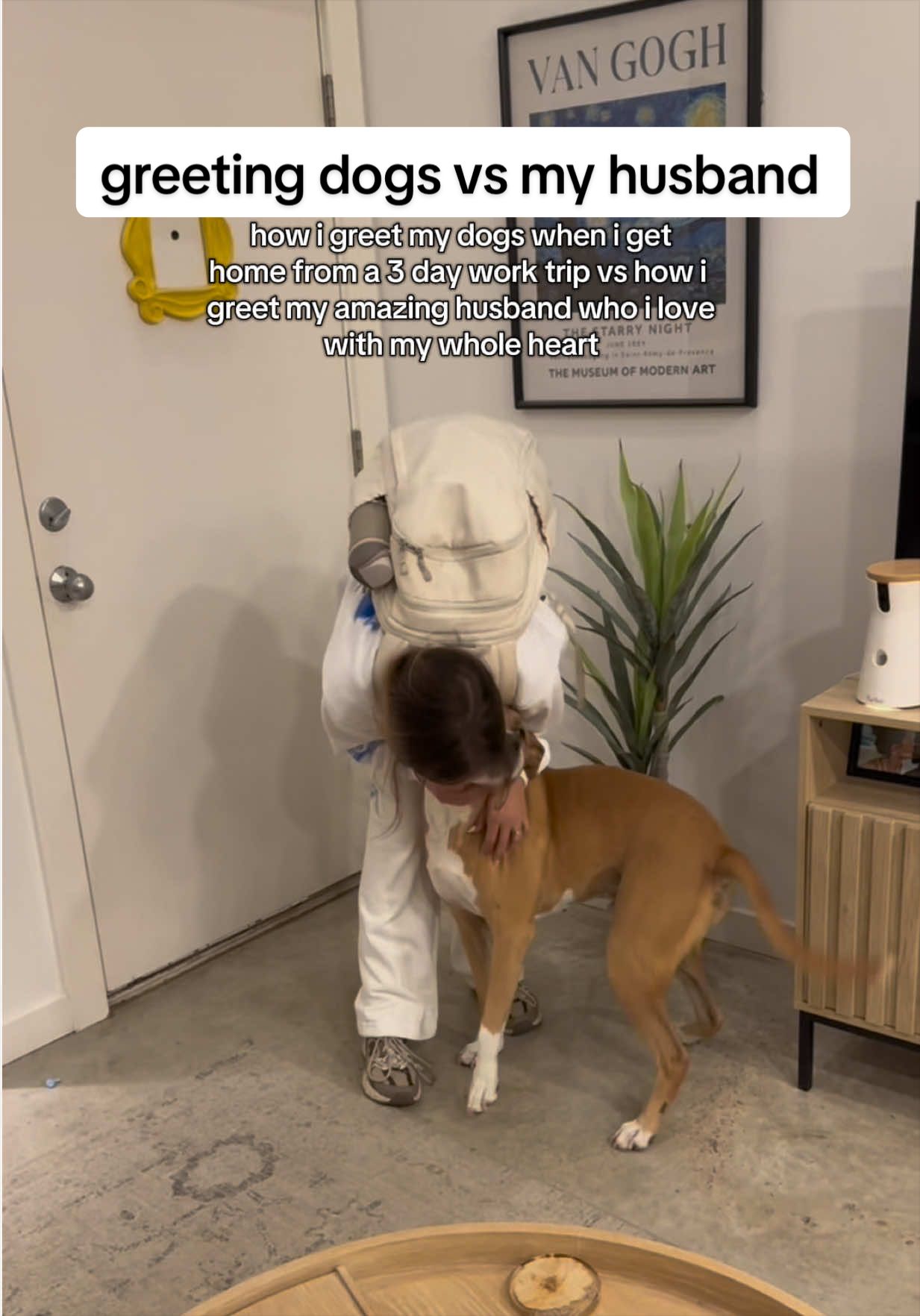 @Abby KPA-CTP | Dog Trainer