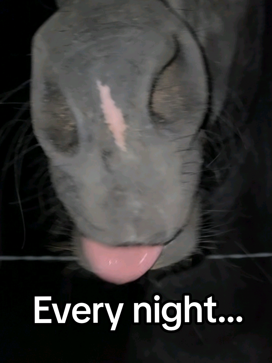 @UntamedTexas