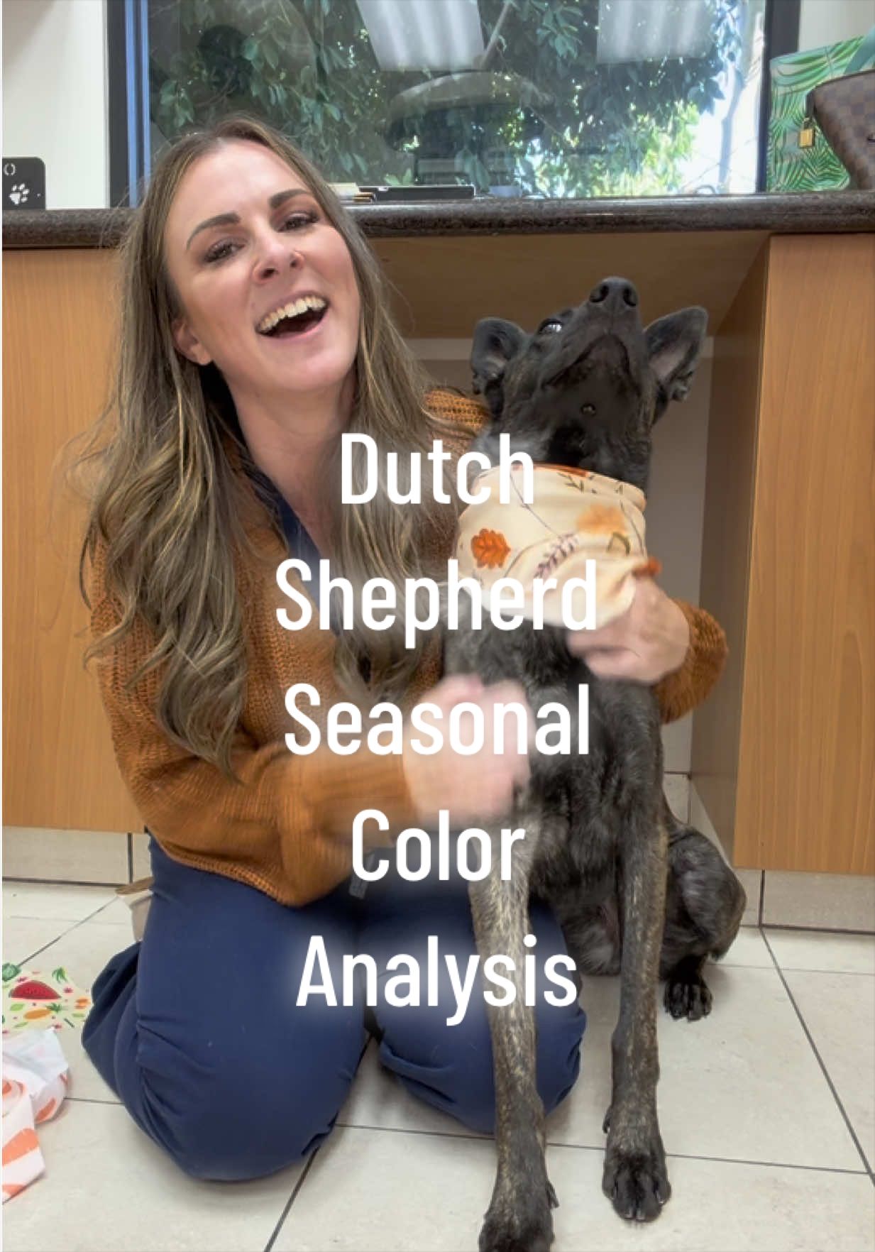 @drcaitlinveterinarian