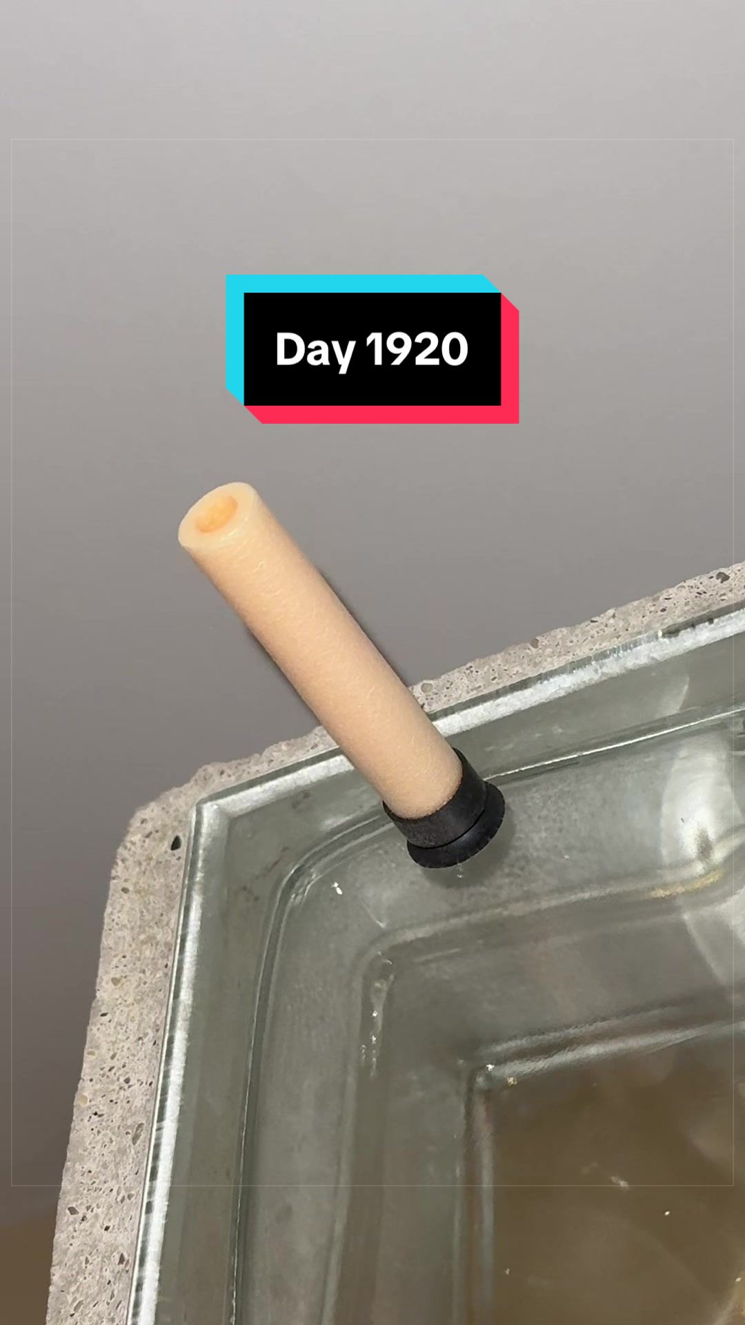 @The Immortal Nerf Dart