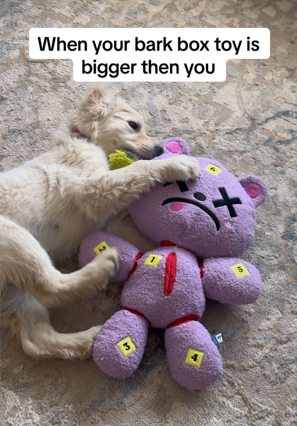 @_ᒪᙓᗩᕼᙏᗩᖇIᙓ_