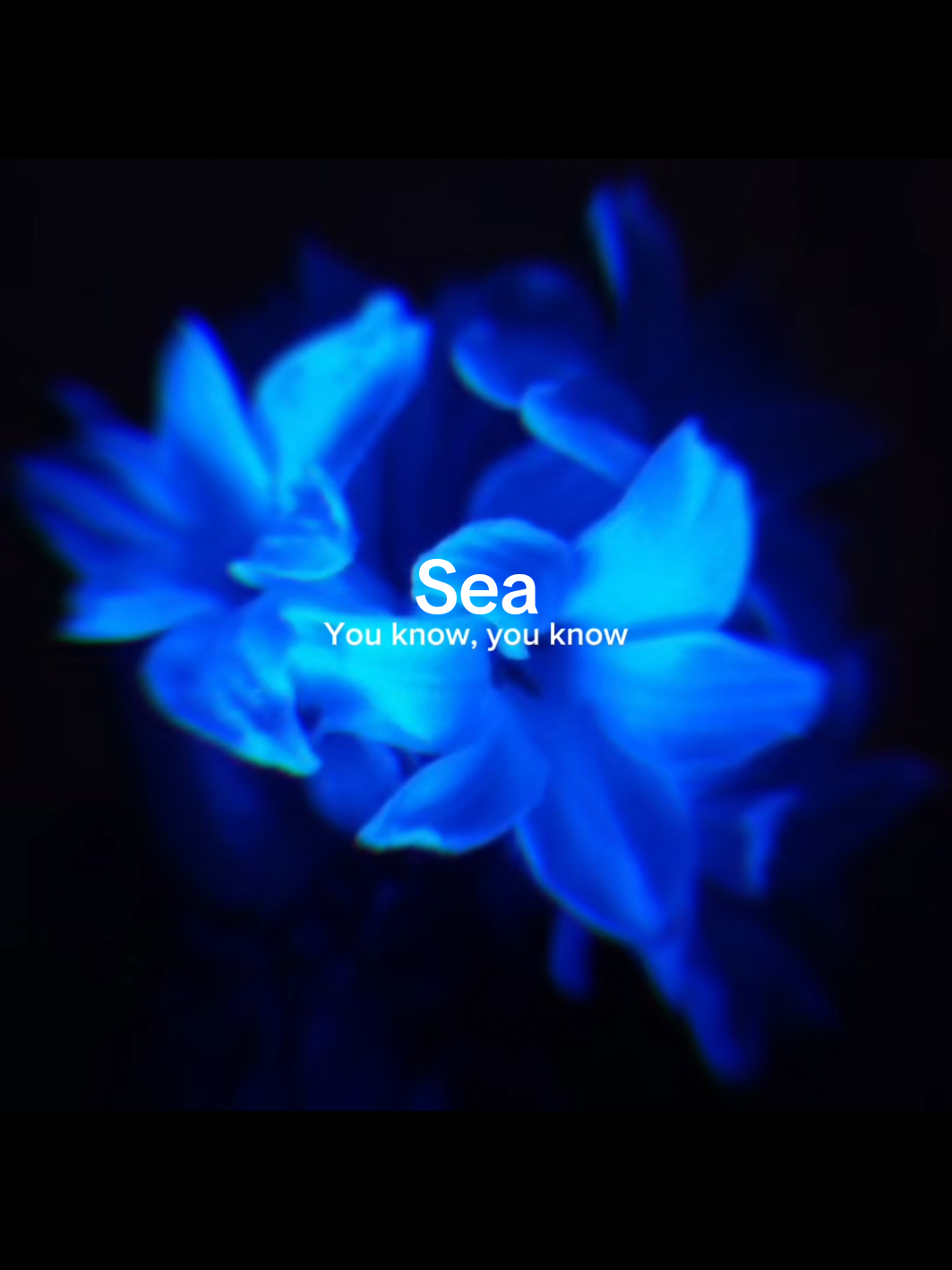 @S⋆⁷