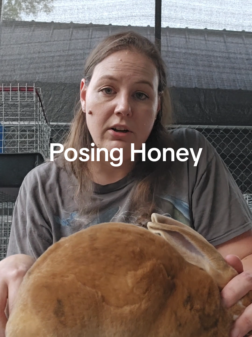 @Hidden Home Rabbitry