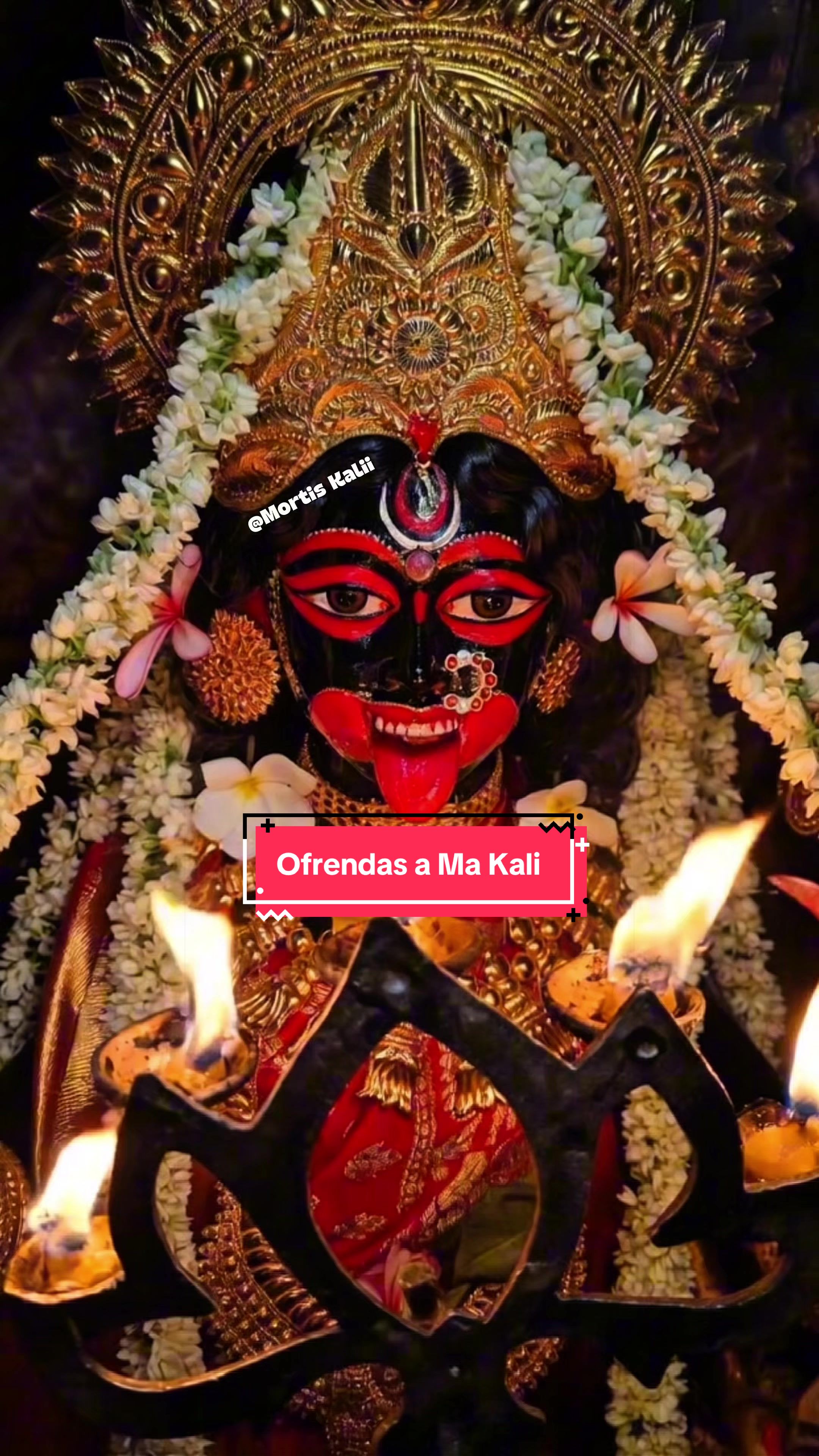 @Mortis Kalii 🀄️