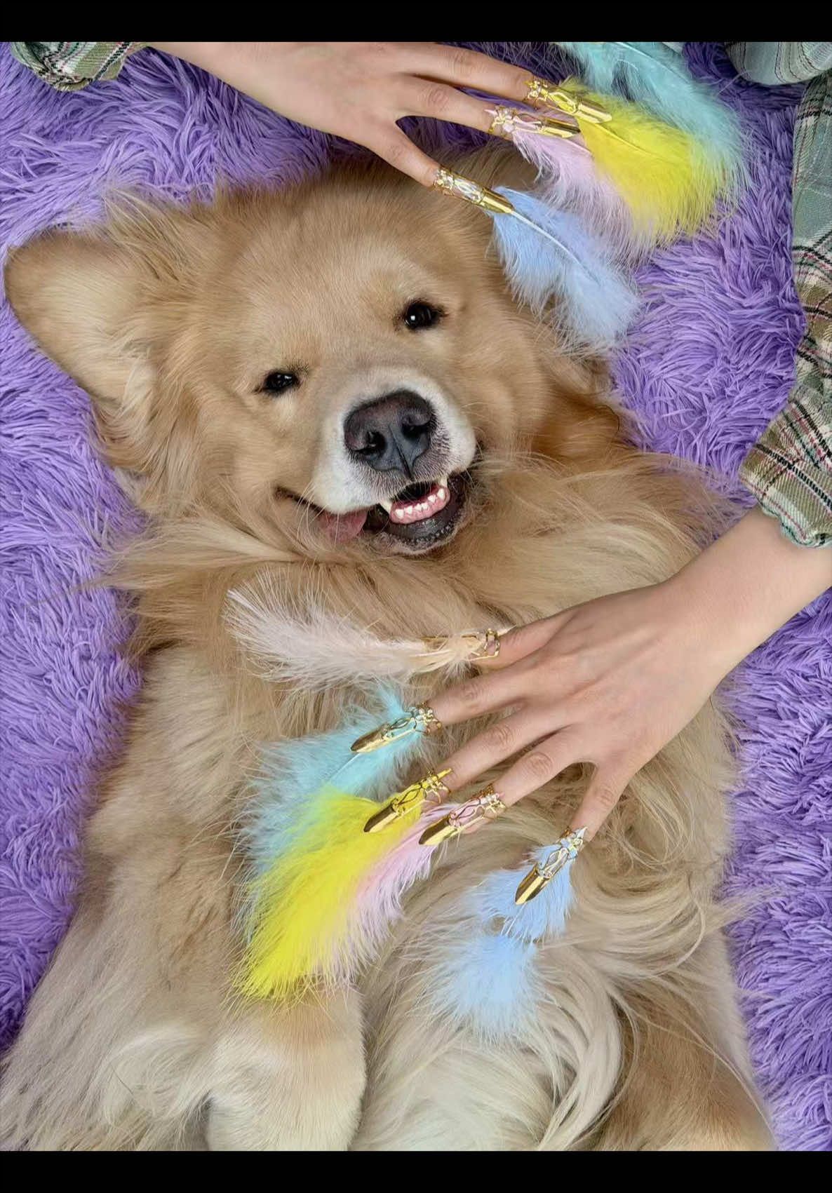 @Golden Fur Bender