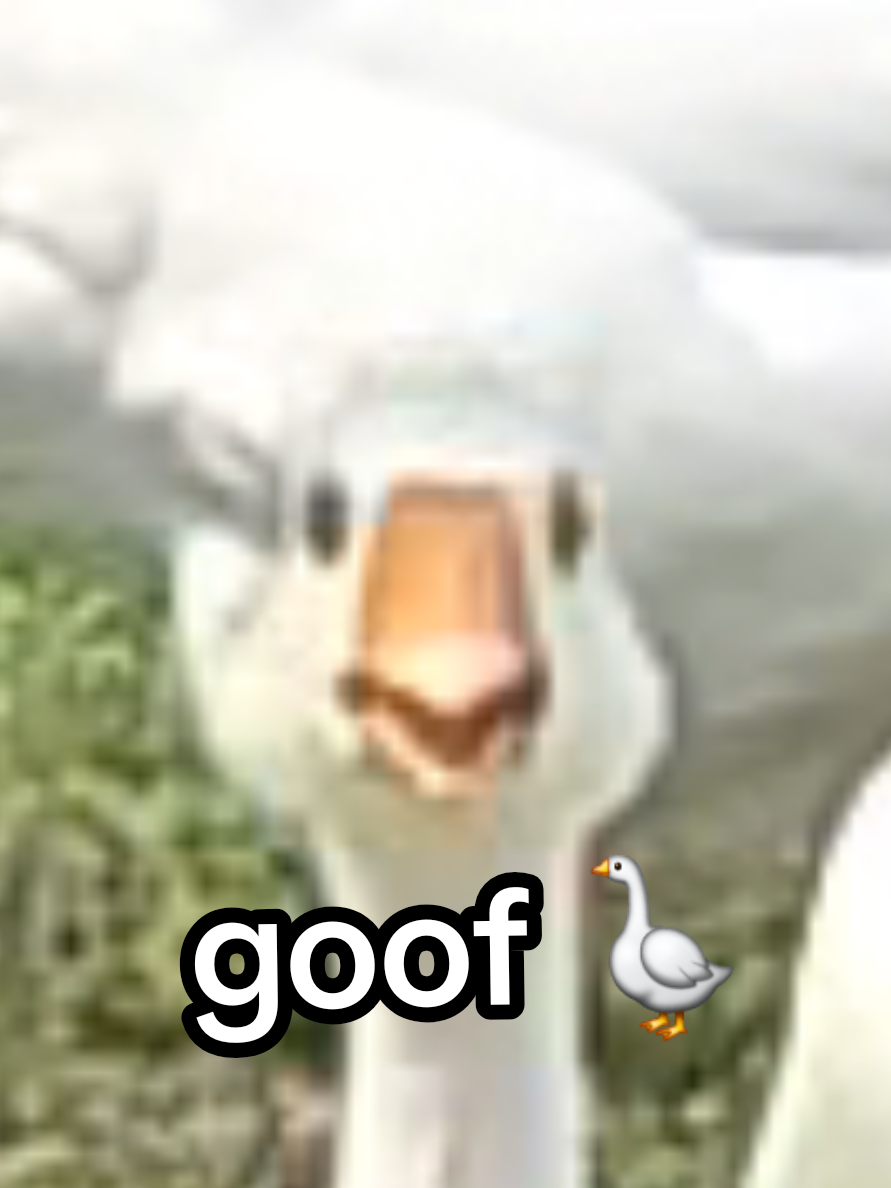 @Goofy_Goober