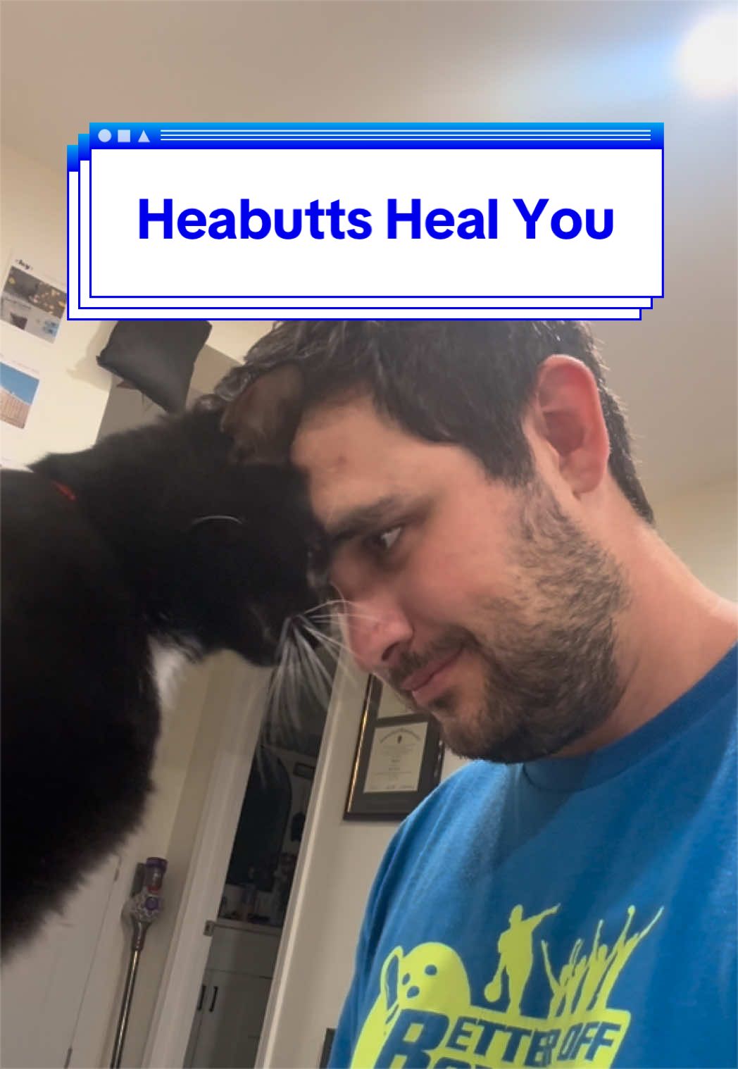 @loubert_the_cat