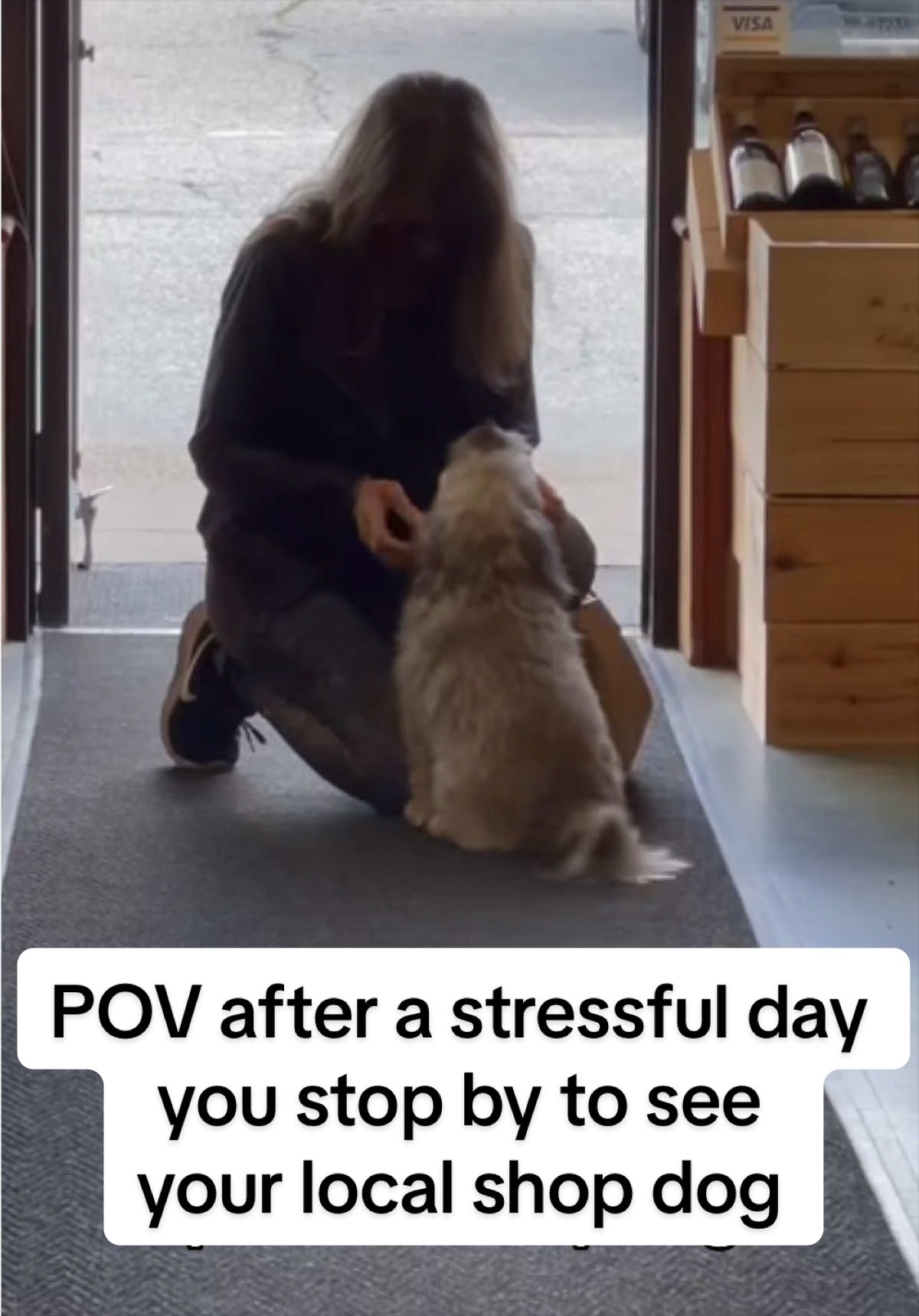 @Brownie #1 Store Dog Greeter