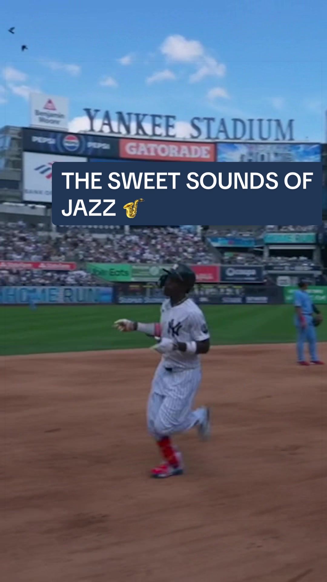 @Yankees