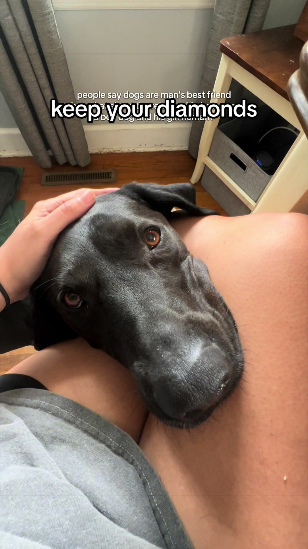 @MarriedWithDogs