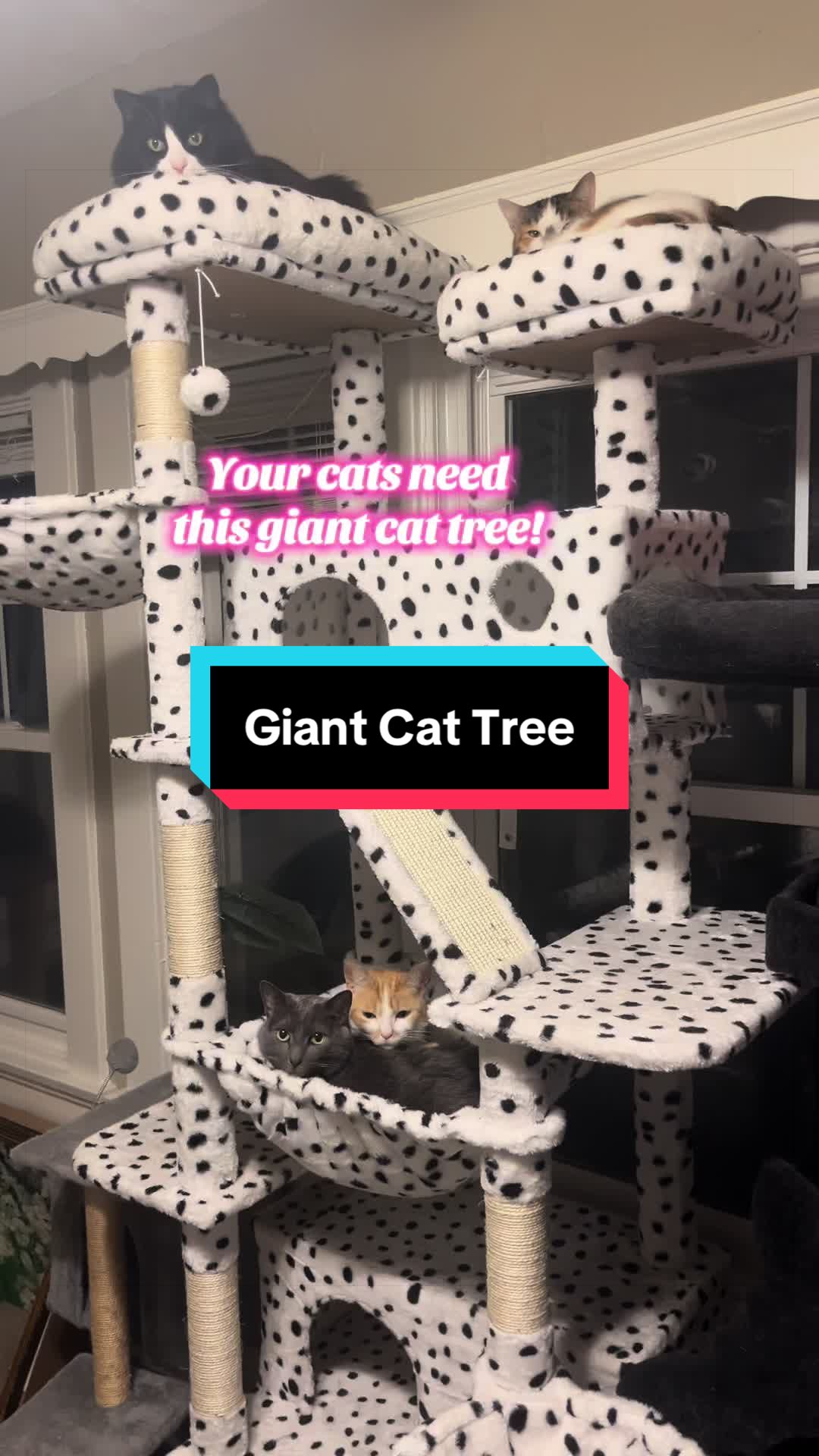 @Thetwoagoutis