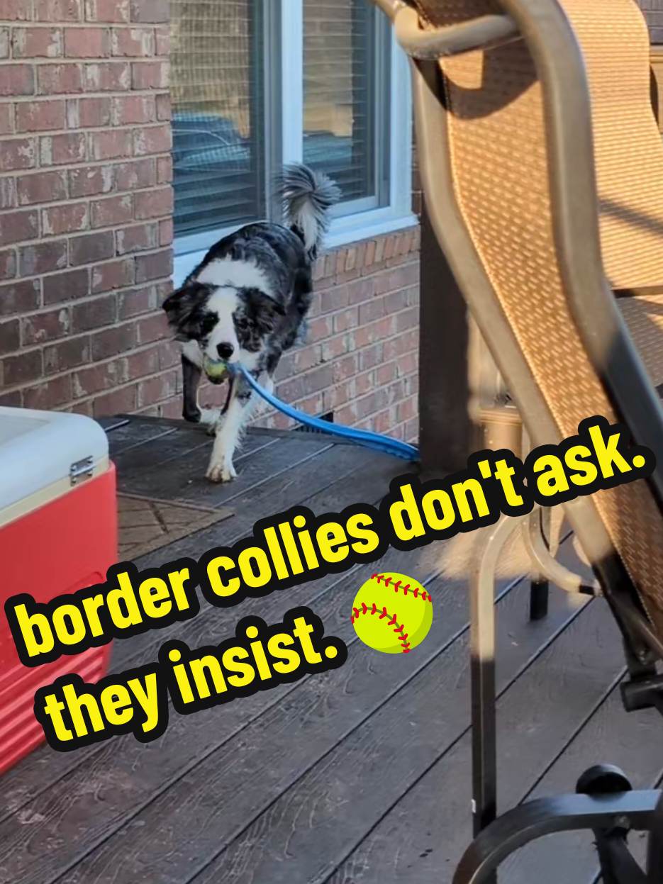 @Boros Custom Creations