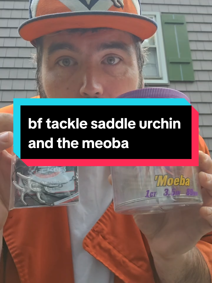 @SP_The_Ned_Master