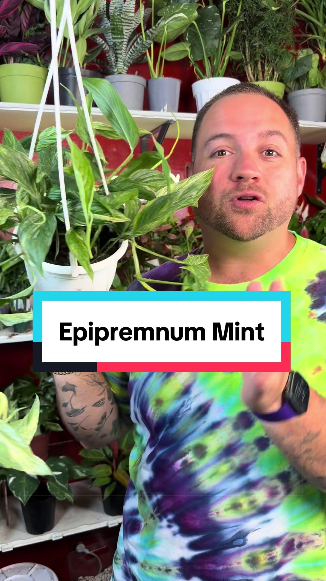 @Brandon The Plant Guy