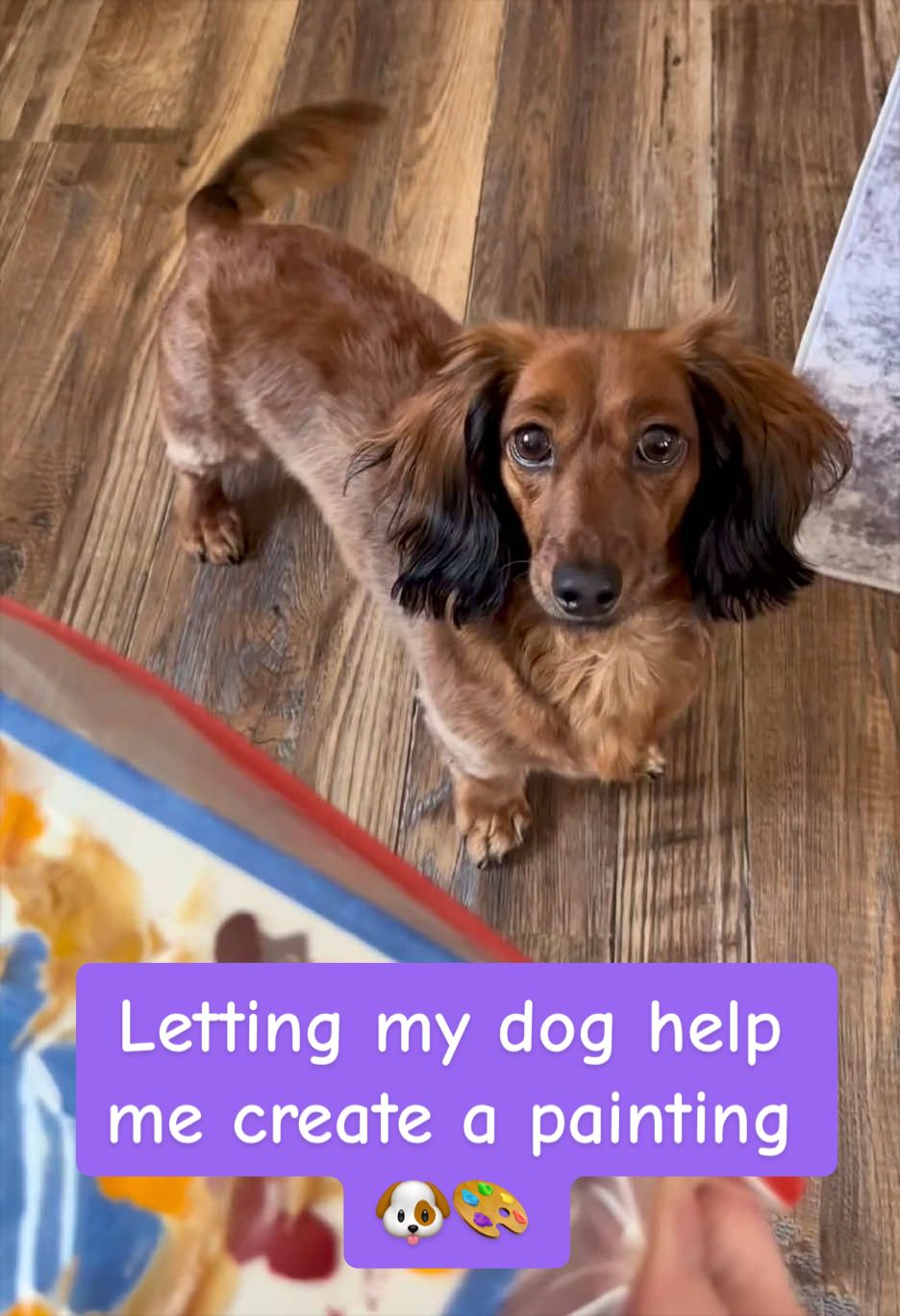 @MedlisTinyPawPost